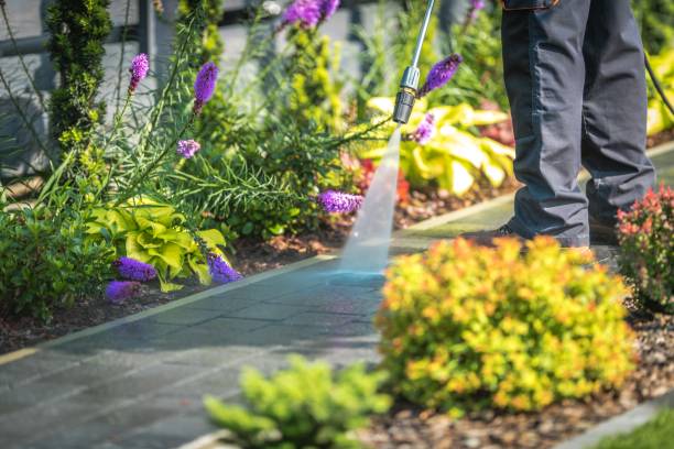 Best Gutter Cleaning and Brightening in Moundridge, KS